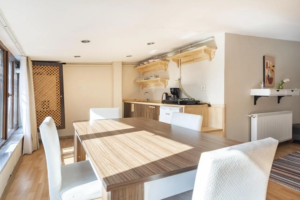 Central Flat Close To Taksim Square In Beyoglu Istanbul Apartament